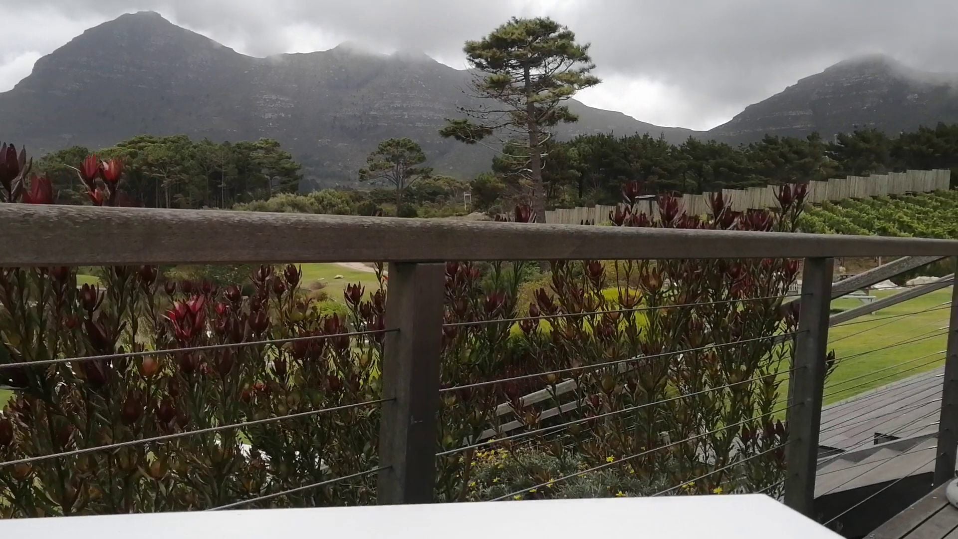  Cape Point Vineyards