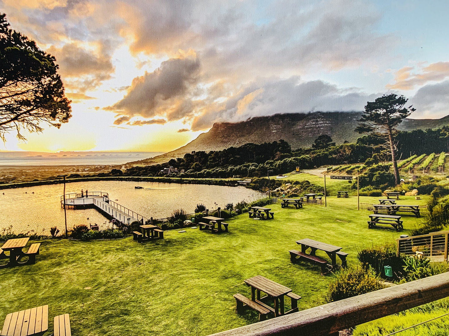  Cape Point Vineyards