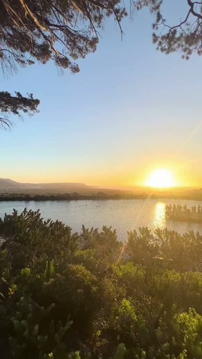  Cape Point Vineyards