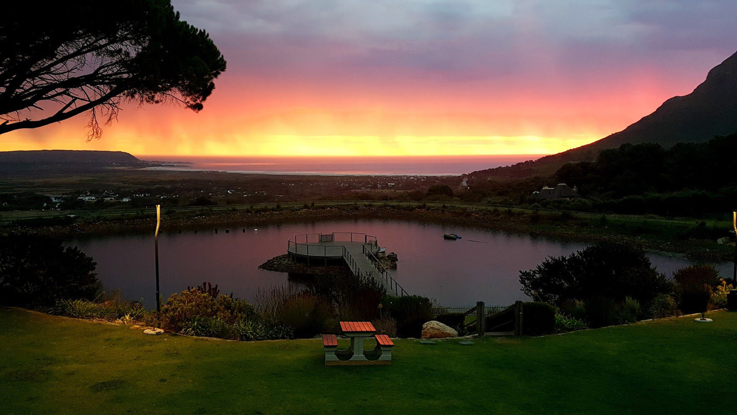  Cape Point Vineyards