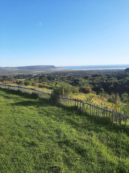  Cape Point Vineyards