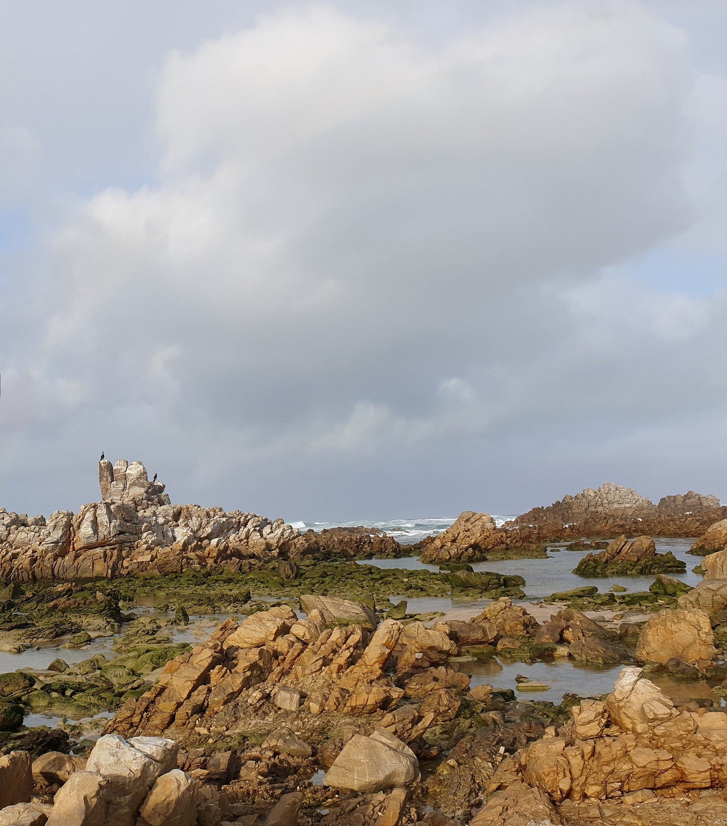  Cape Recife Lighthouse (Est. 1849)