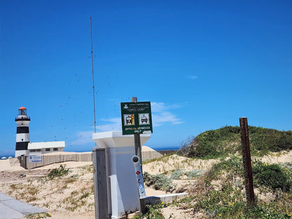  Cape Recife Lighthouse (Est. 1849)