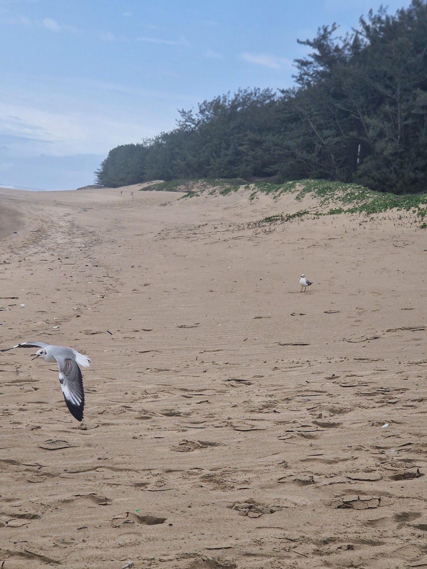  Cape Vidal Beach & Launch Site