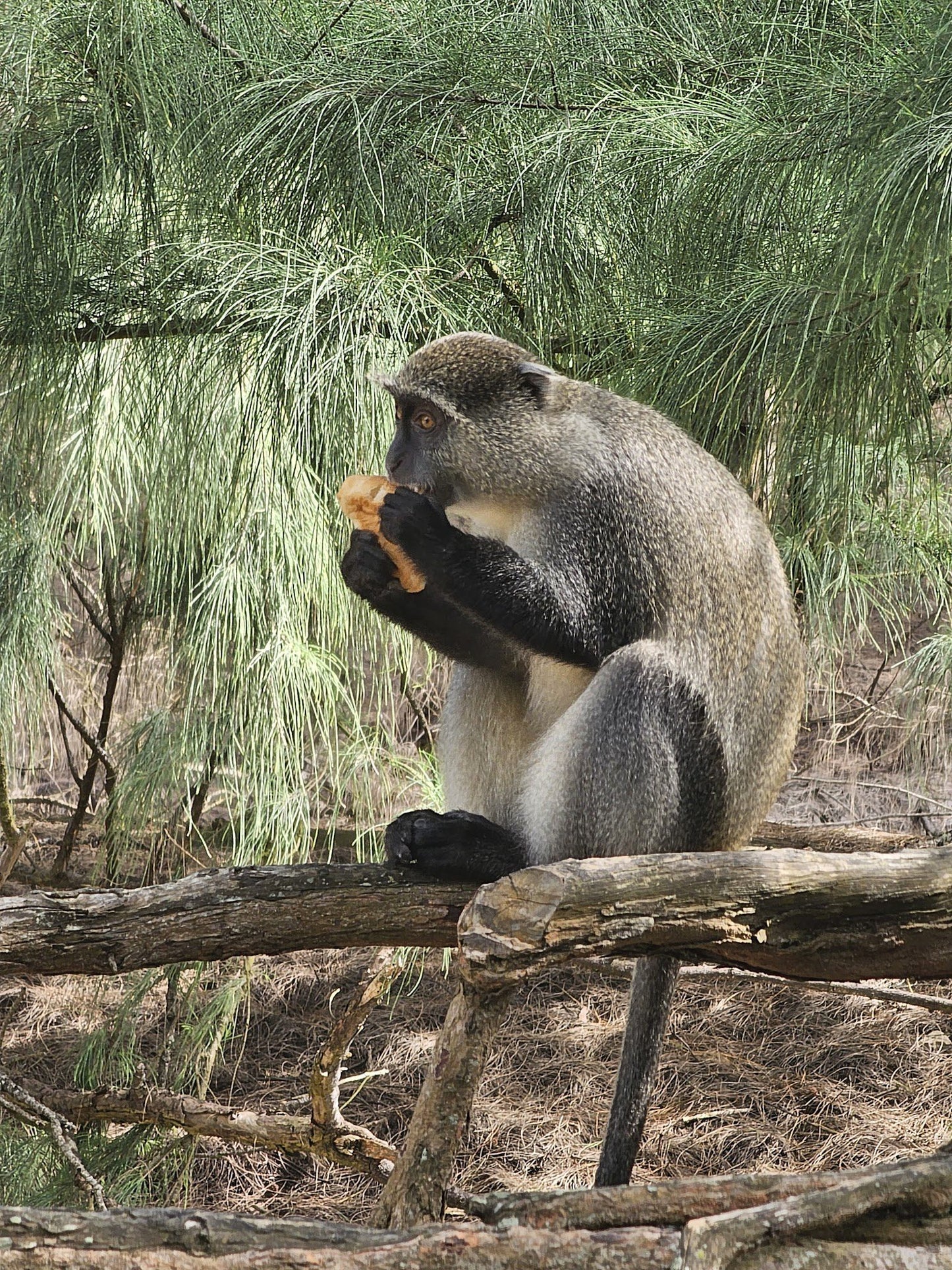  Cape Vidal Beach & Launch Site