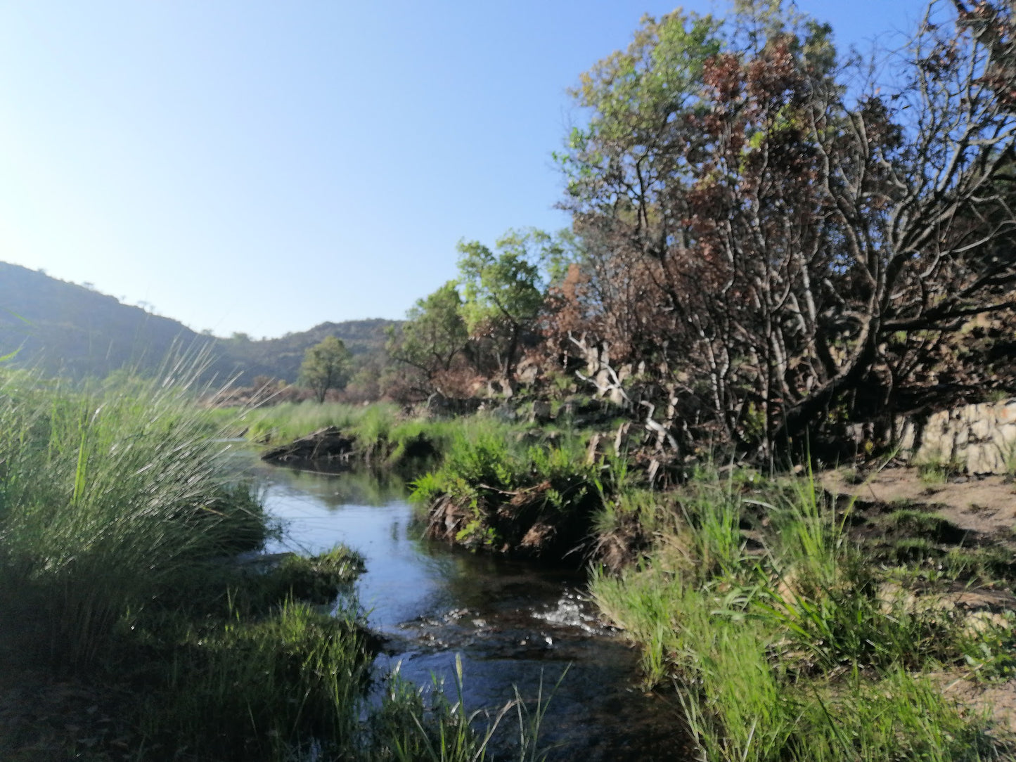 Castle Gorge