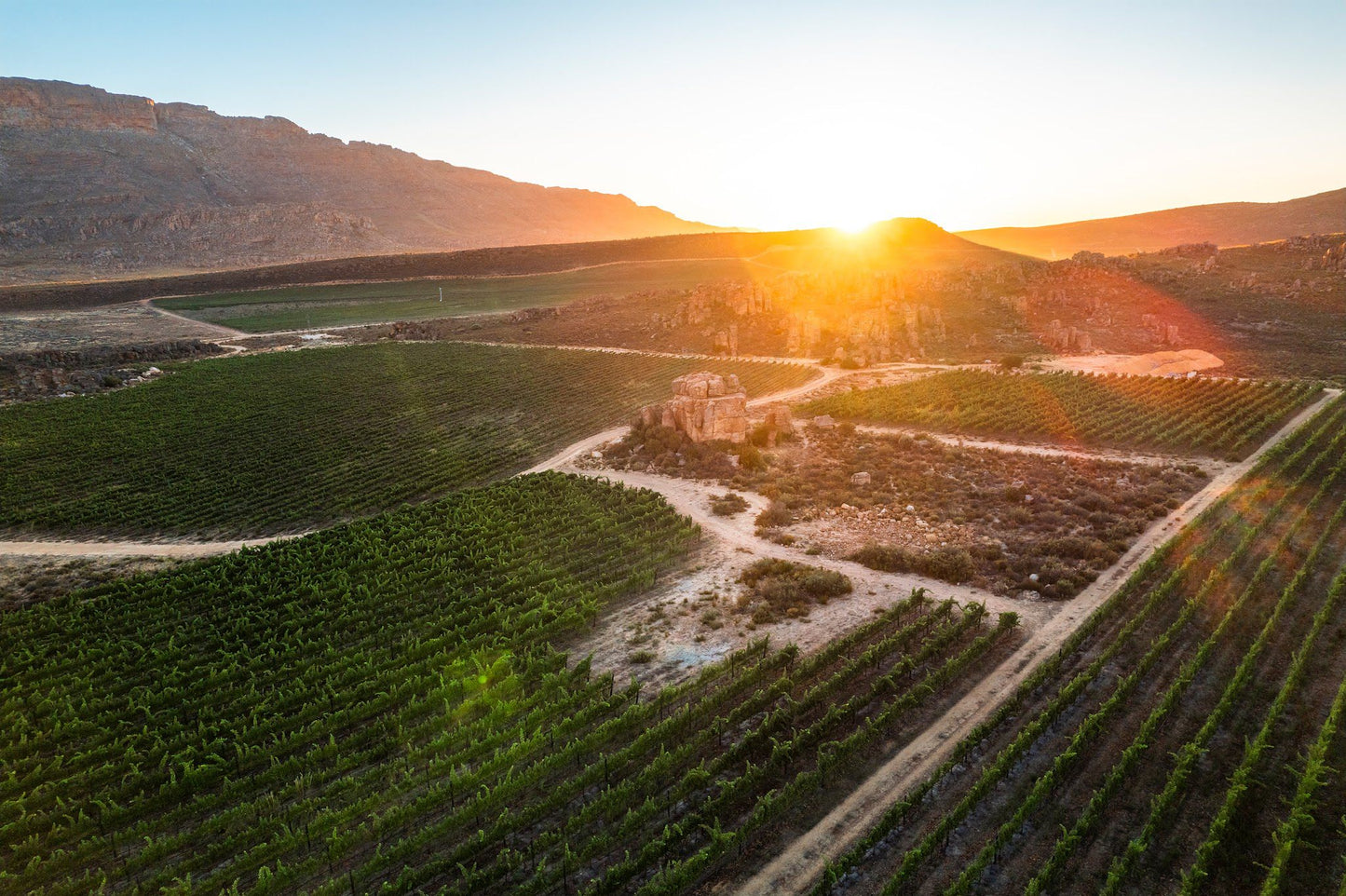  Cederberg Wines