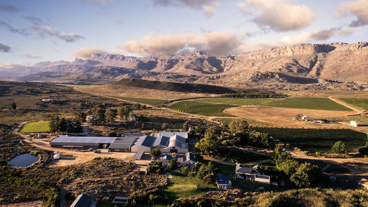  Cederberg Wines