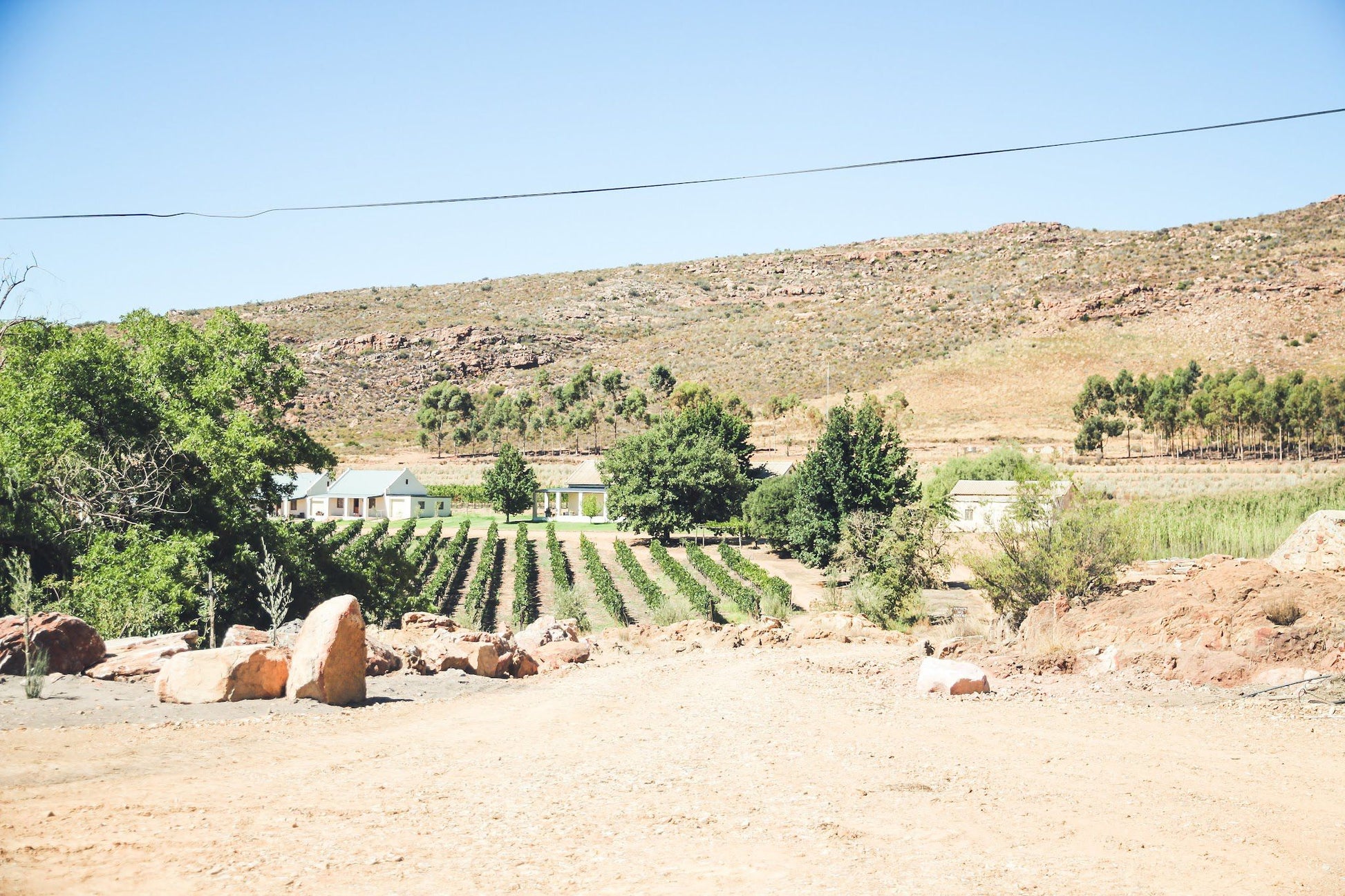  Cederberg Wines