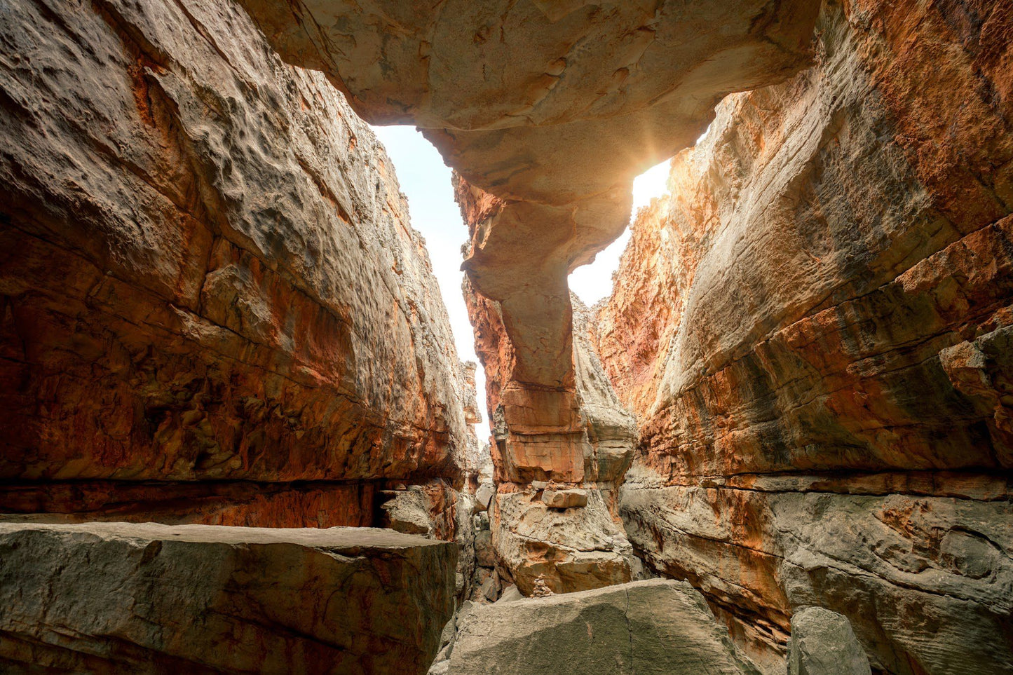  Cederberg Wines