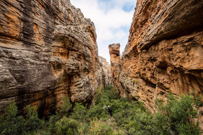  Cederberg Wines