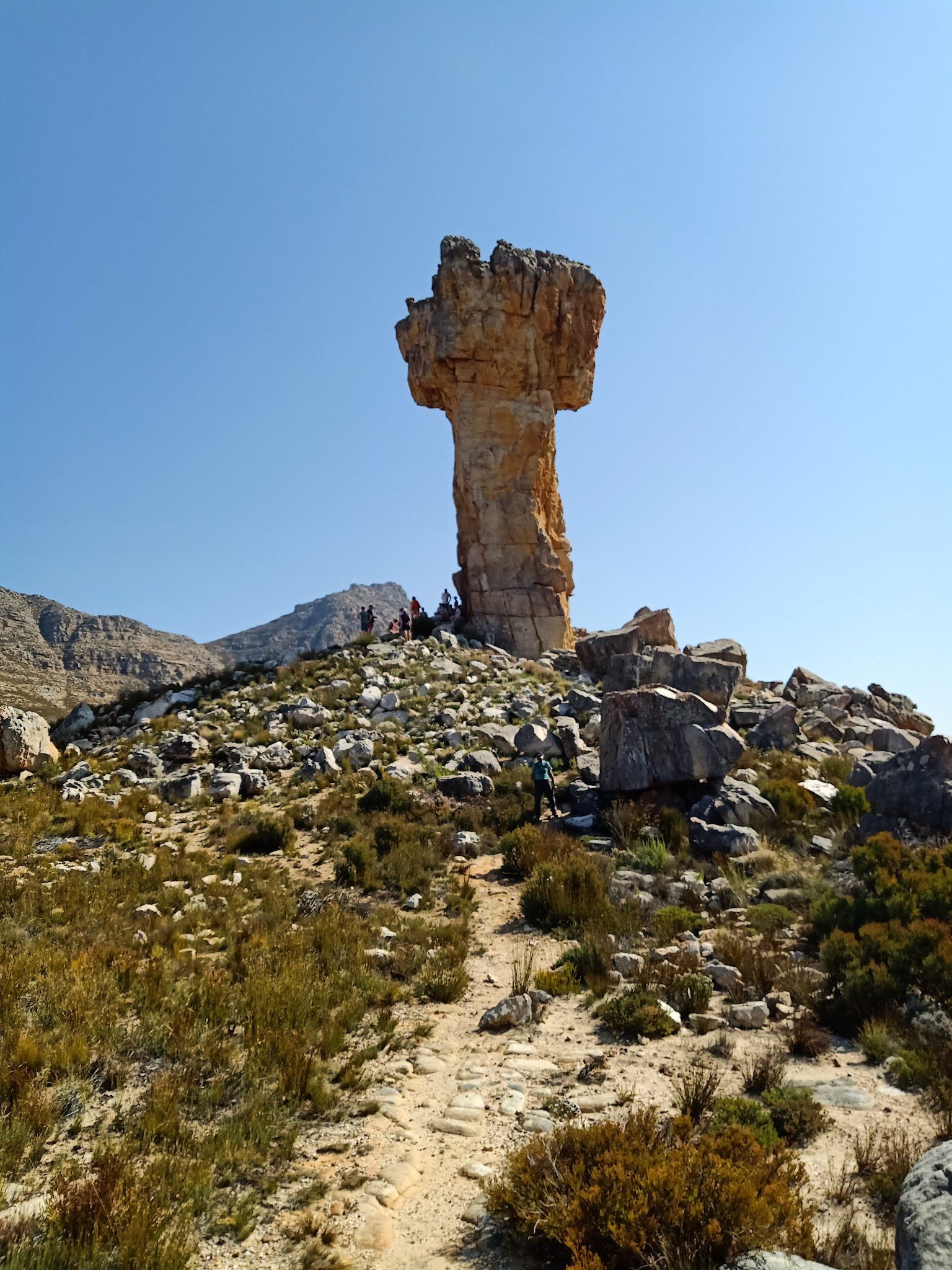  Cederberg Wines