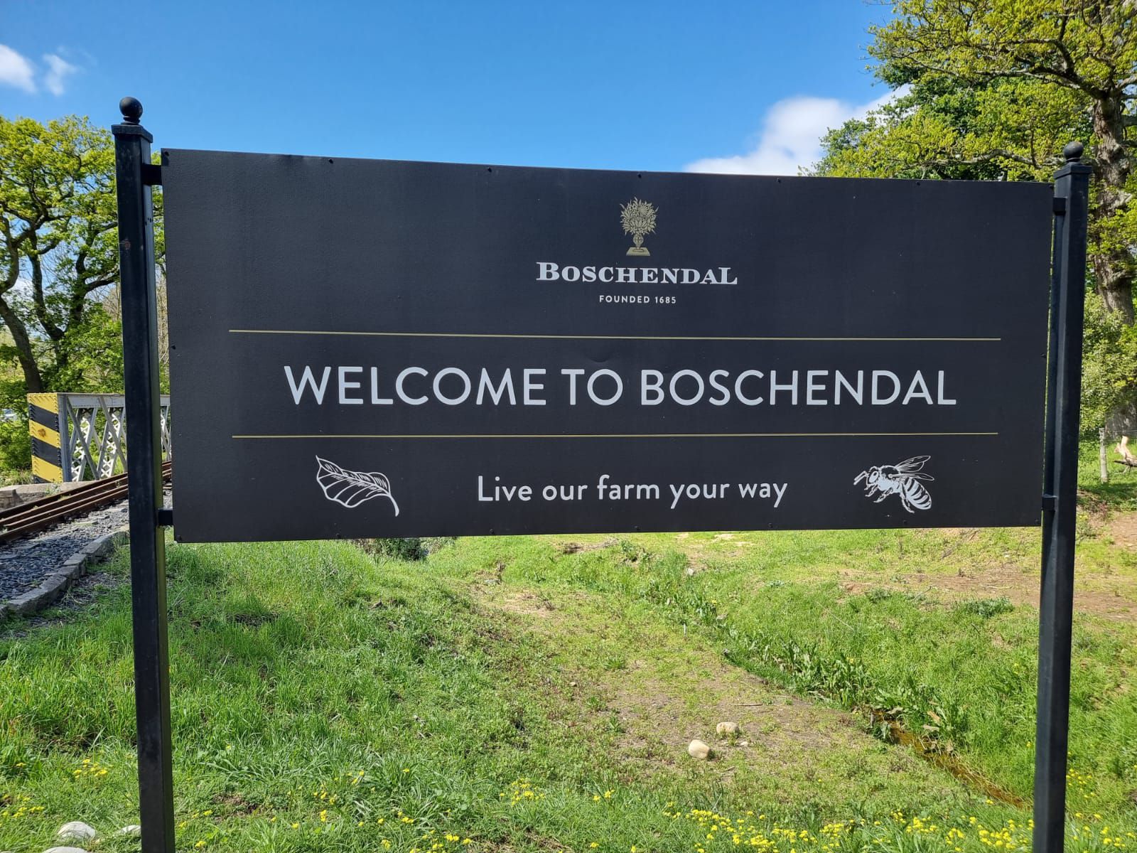  Cellar Door Wine Tasting at Boschendal