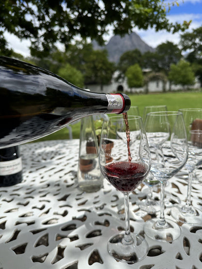  Cellar Door Wine Tasting at Boschendal