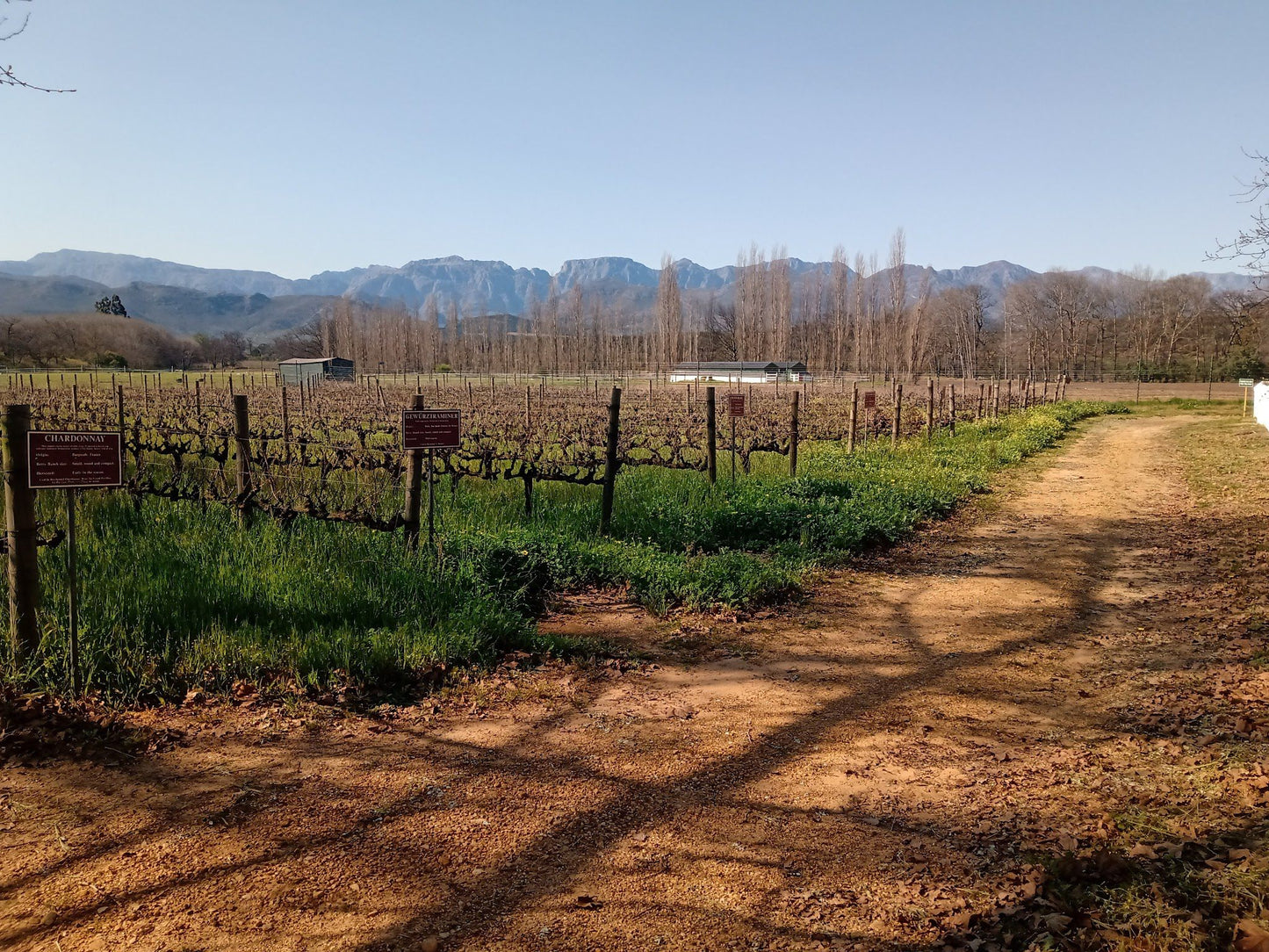  Cellar Door Wine Tasting at Boschendal