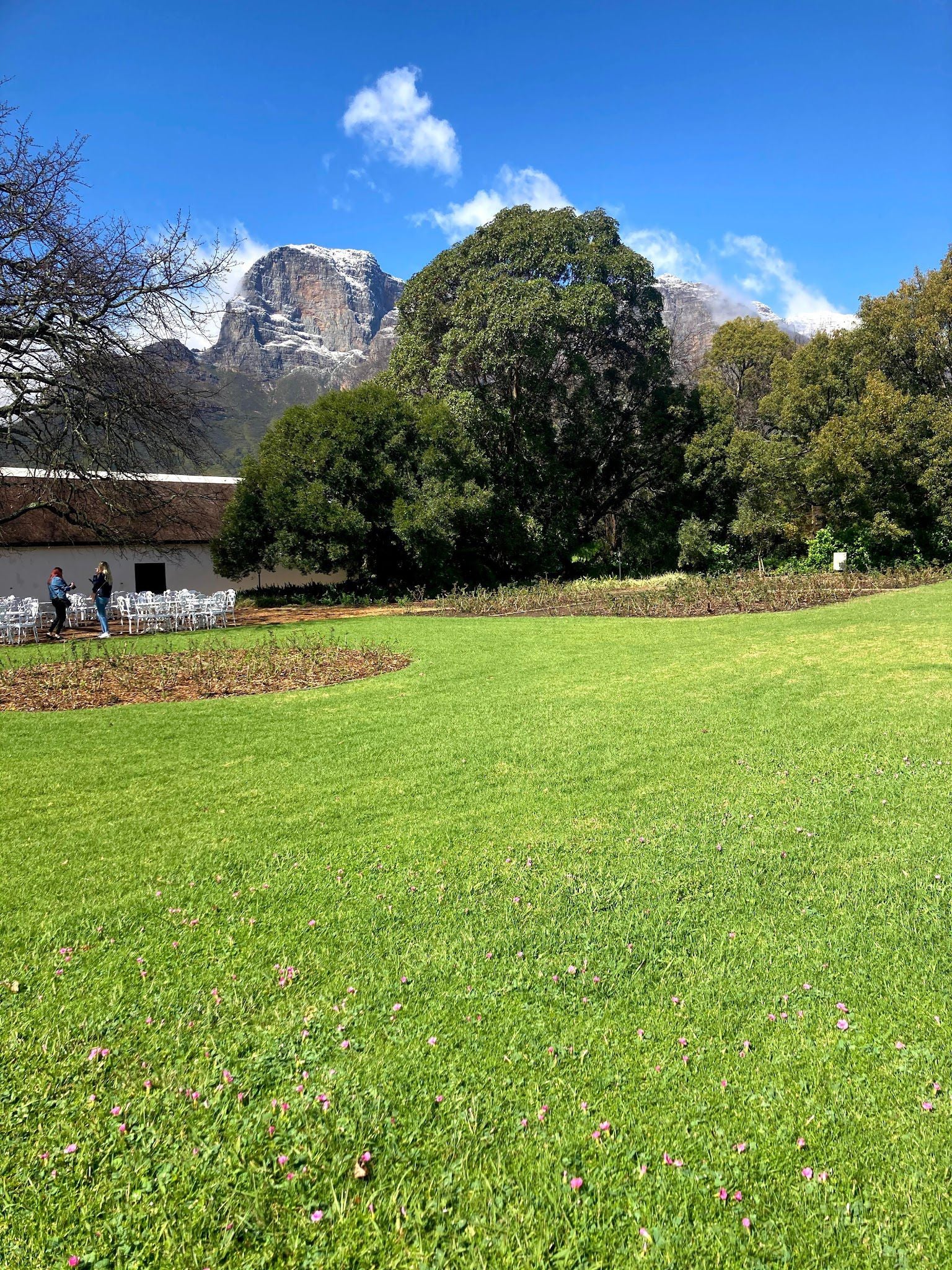  Cellar Door Wine Tasting at Boschendal