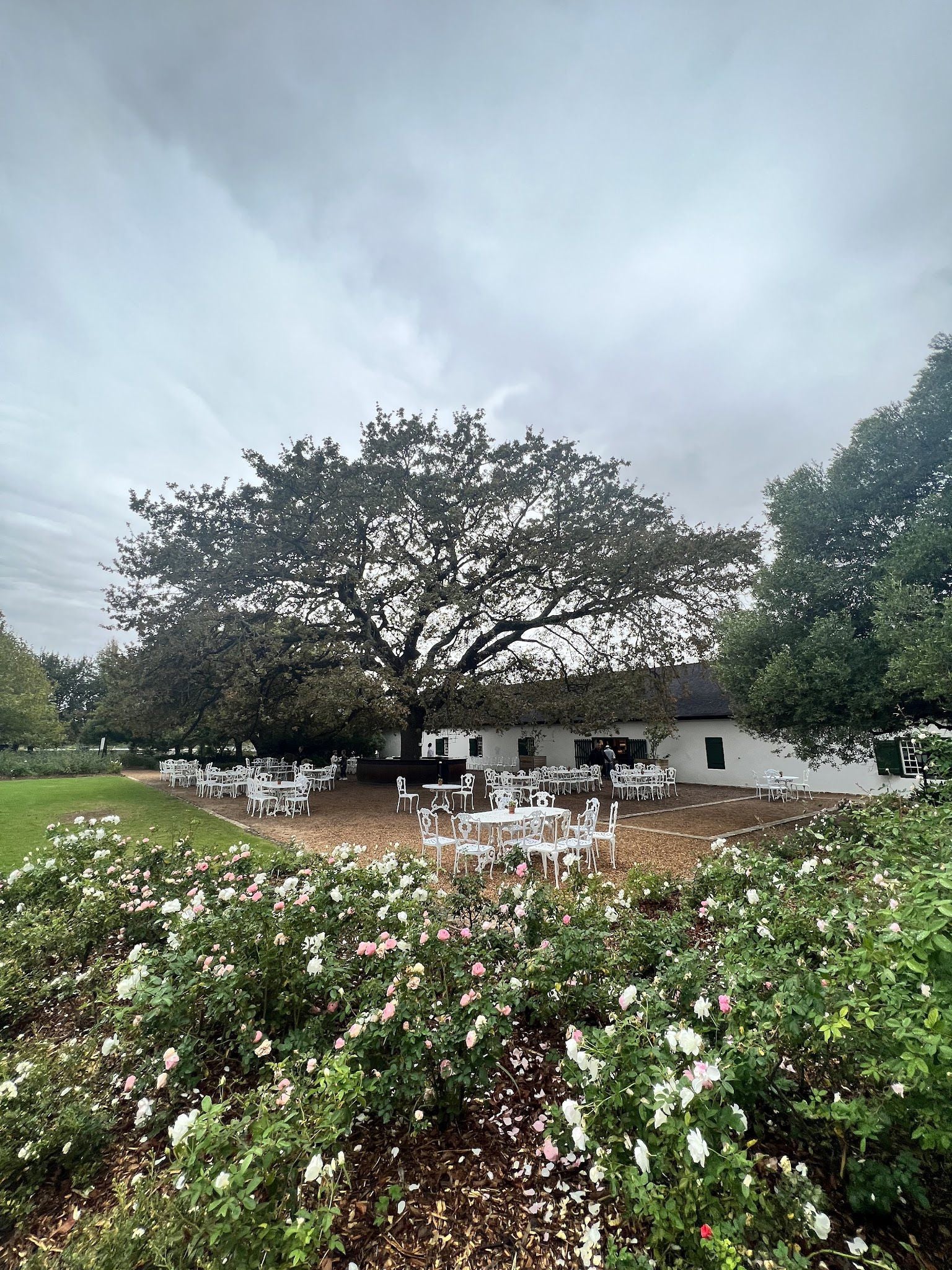  Cellar Door Wine Tasting at Boschendal