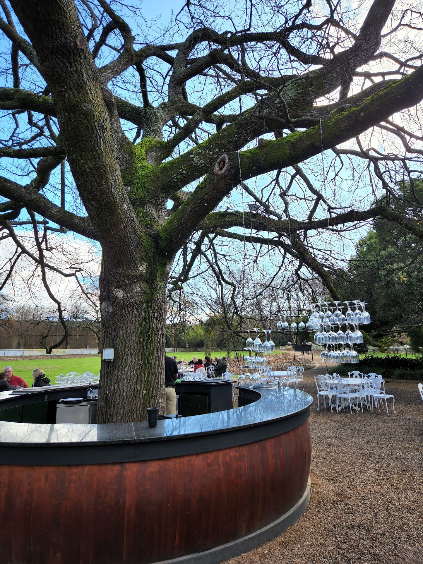  Cellar Door Wine Tasting at Boschendal