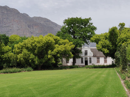  Cellar Door Wine Tasting at Boschendal