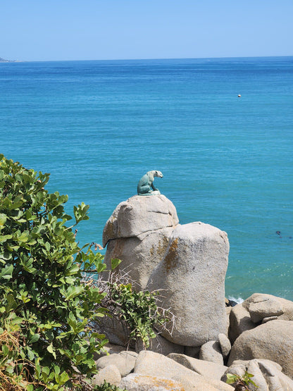 Chapman's Peak Drive