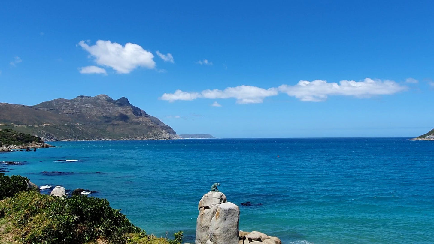 Chapman's Peak Drive