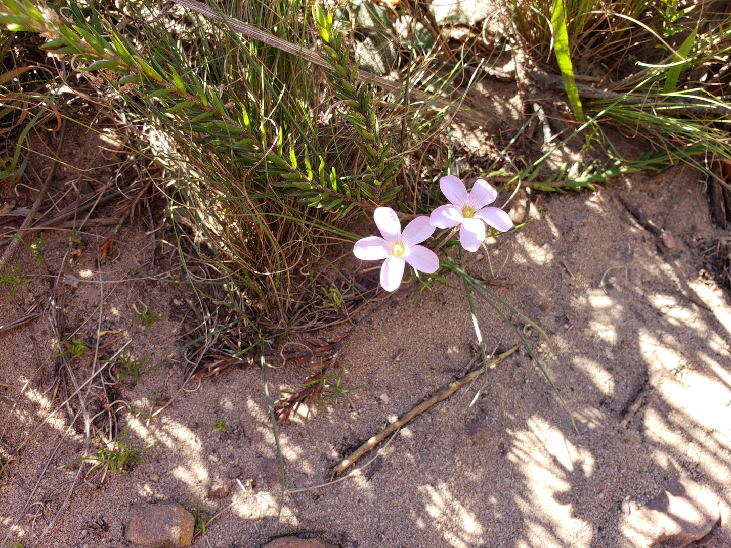 Chapman's Peak Hiking Trail - Start Point