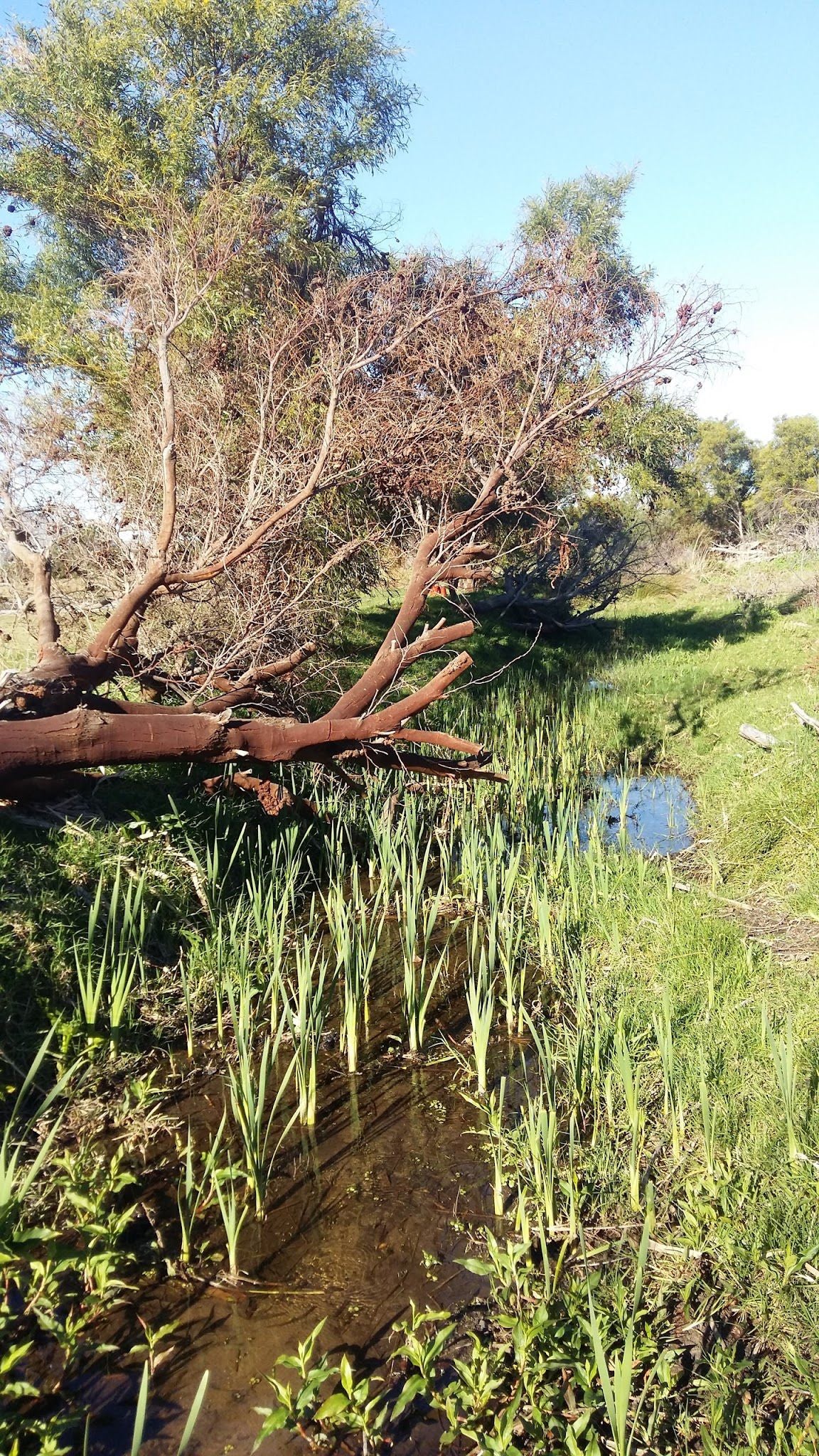  Chapman's Peak Nature Sanctuary