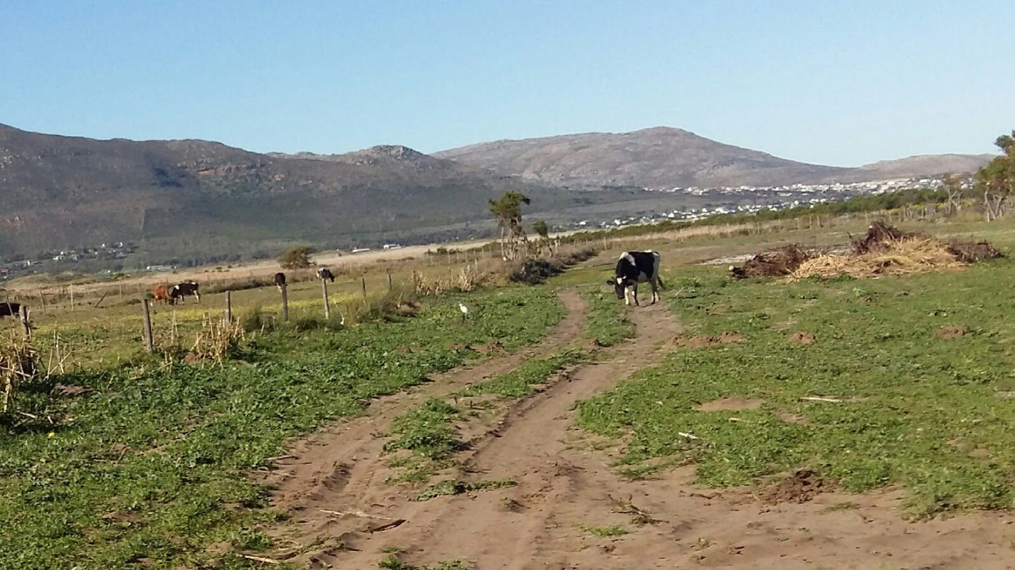  Chapman's Peak Nature Sanctuary