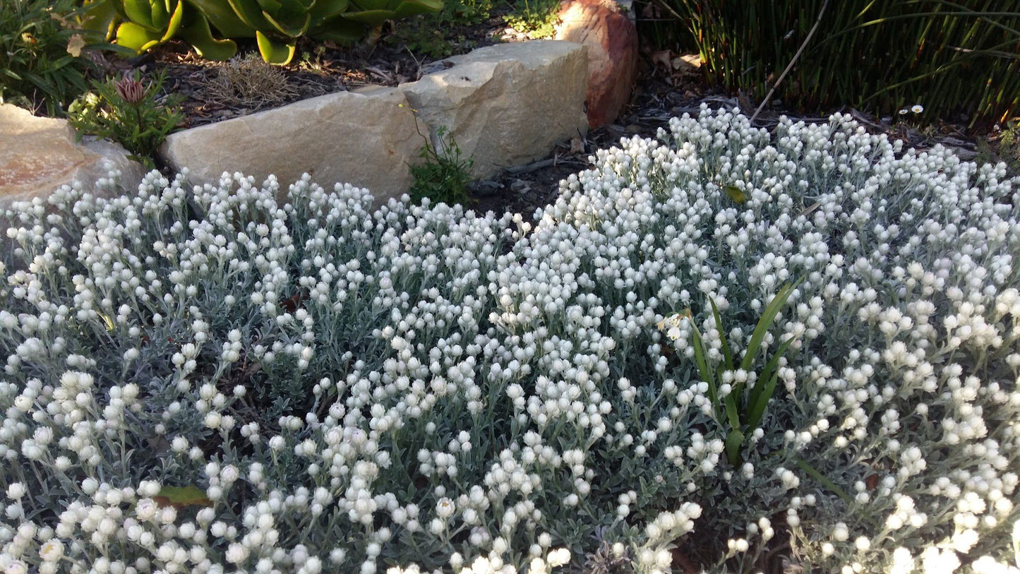  Chapman's Peak Nature Sanctuary