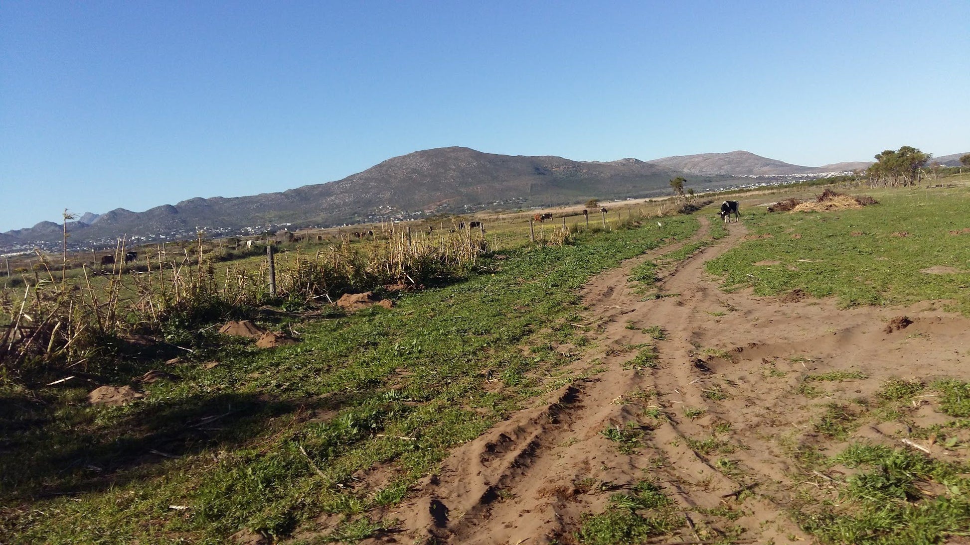  Chapman's Peak Nature Sanctuary