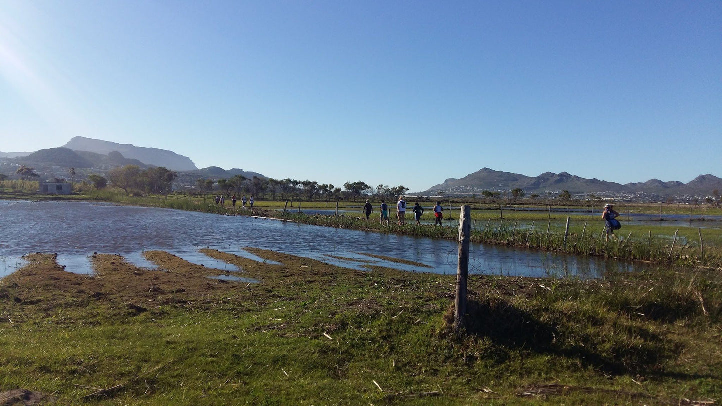  Chapman's Peak Nature Sanctuary