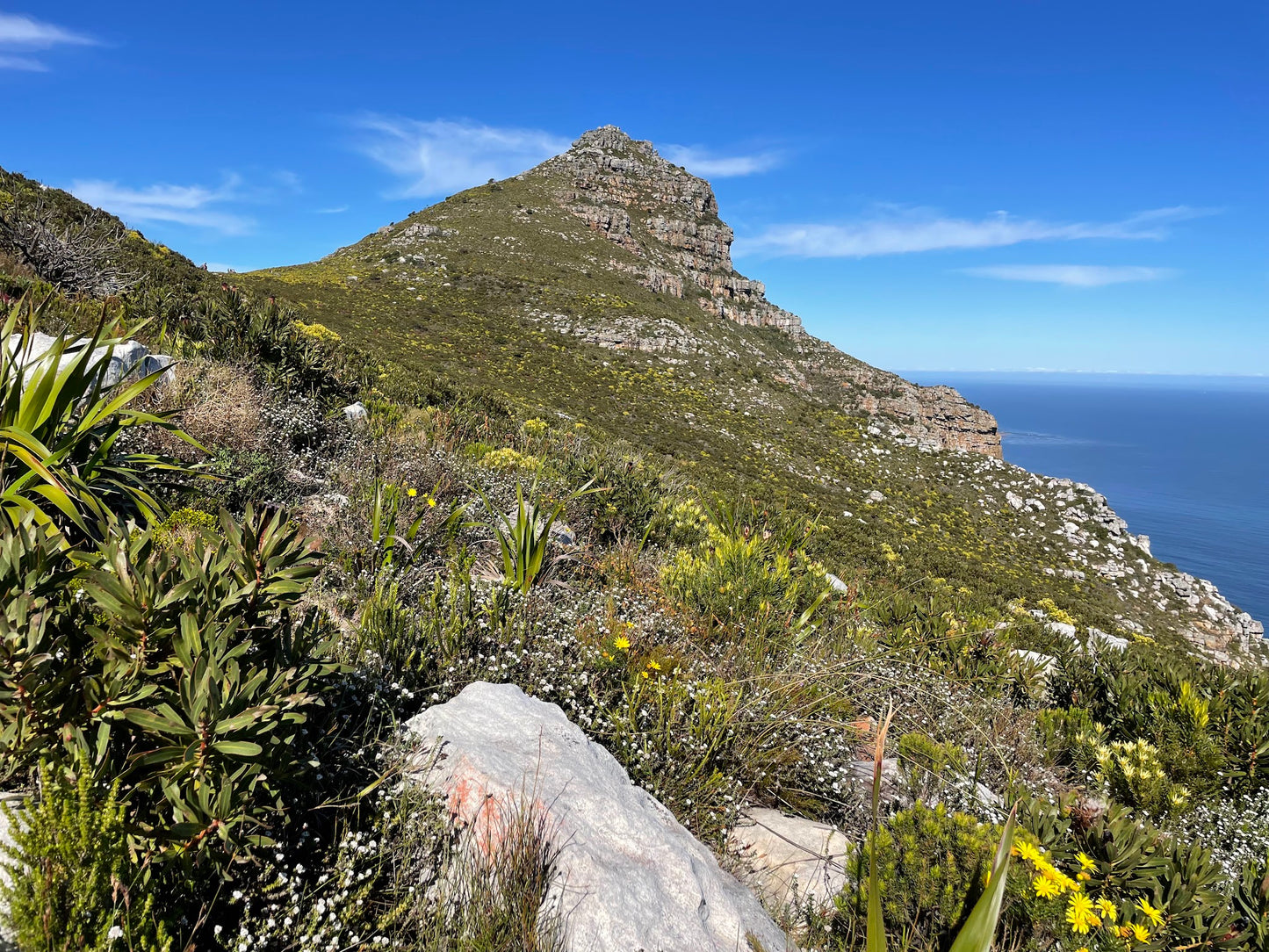 Chapmans Peak Hiking Trail North