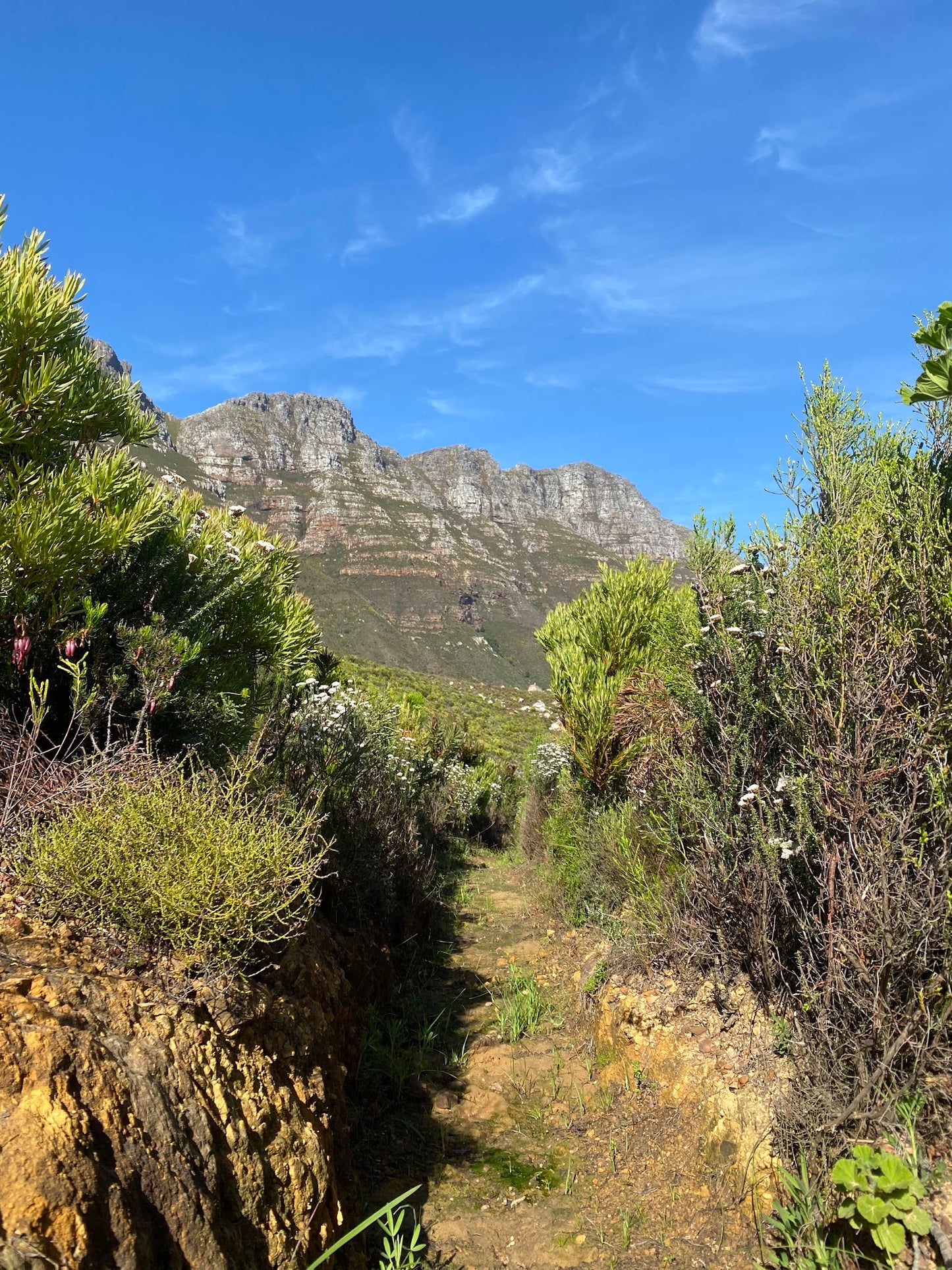 Chapmans Peak Hiking Trail North