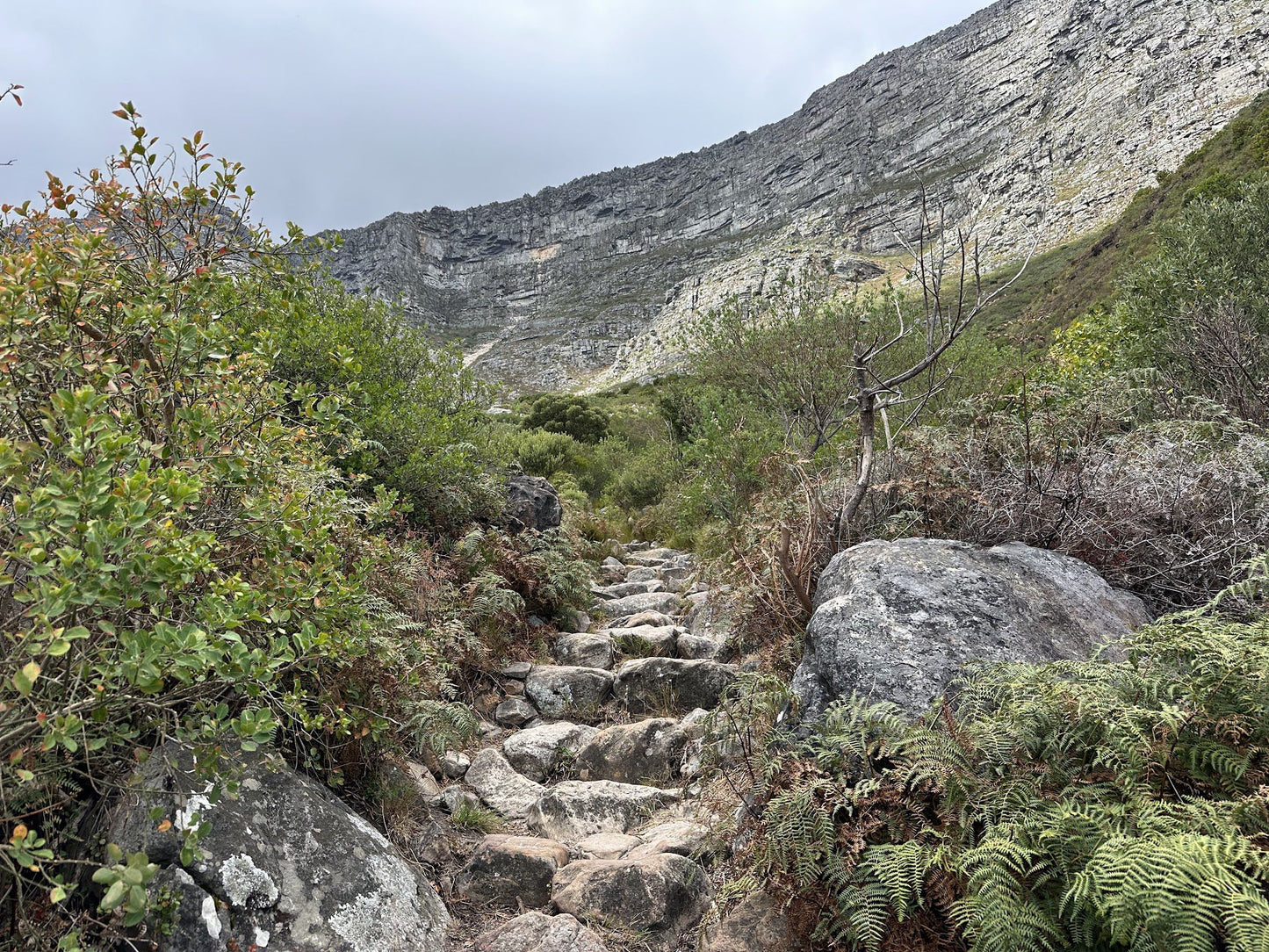  Chapmans Peak Hiking Trail South