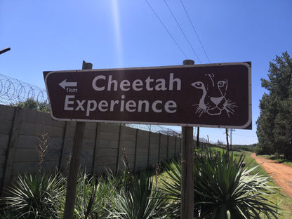  Cheetah Experience (ZA Cheetah Conservation)