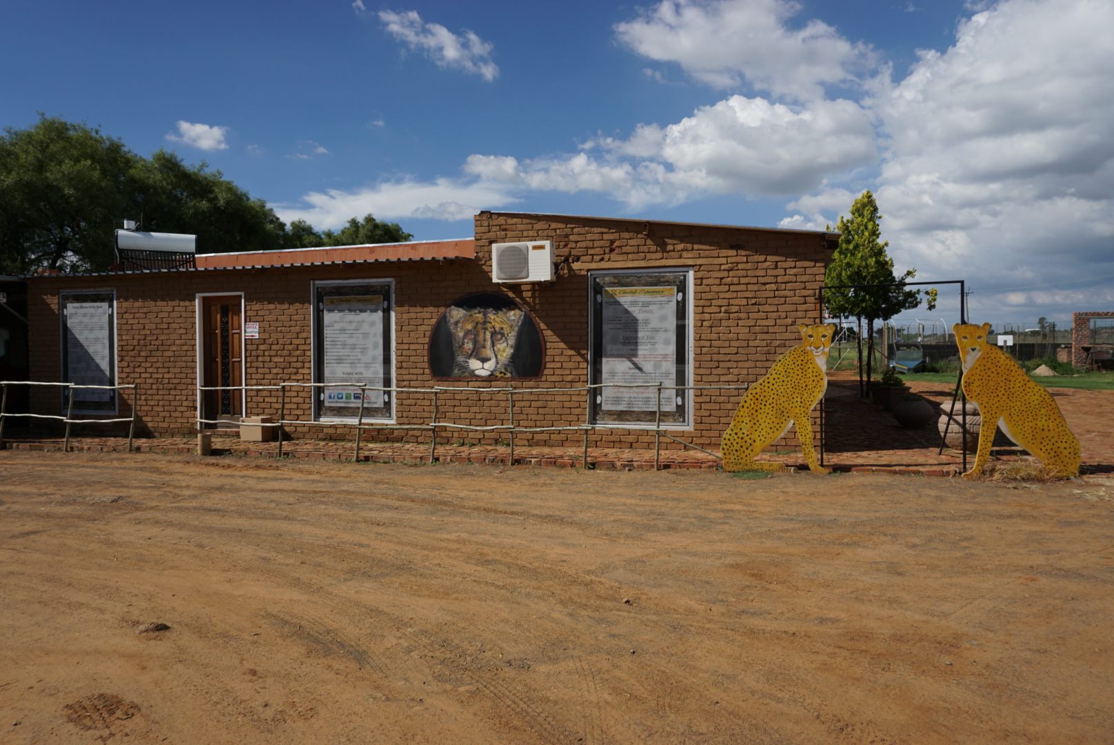  Cheetah Experience (ZA Cheetah Conservation)