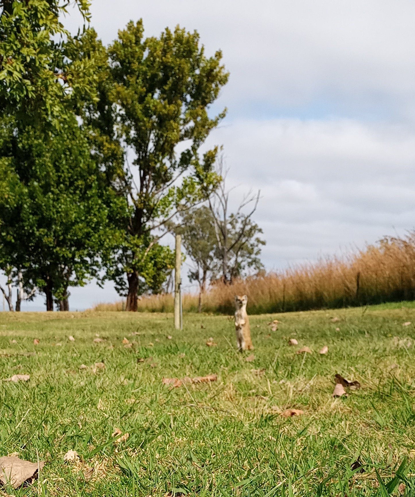  Chelmsford Nature Reserve