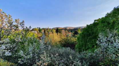  Clarens Village Conservancy