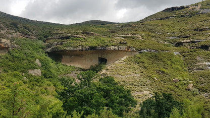  Clarens Village Conservancy