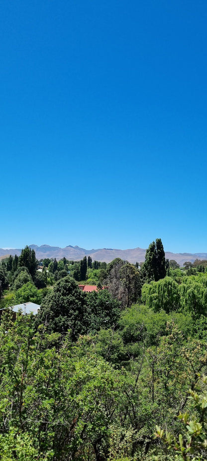  Clarens Village Conservancy