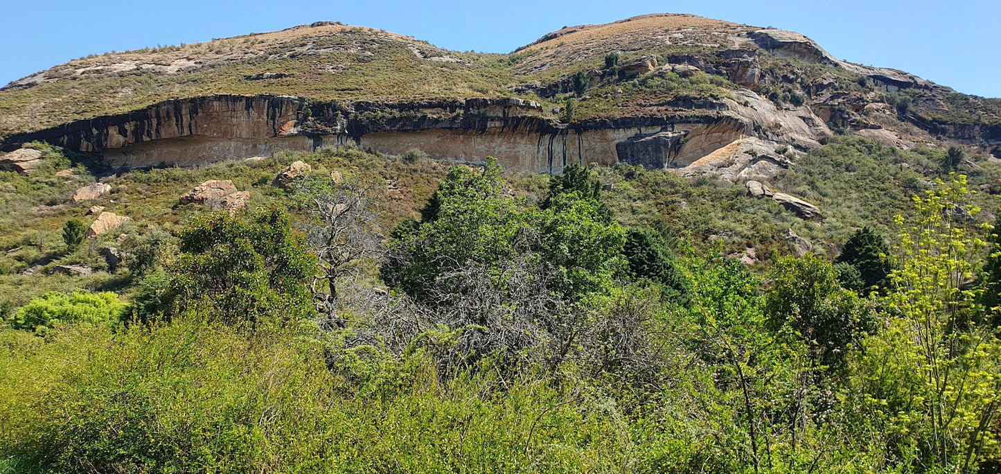  Clarens Village Conservancy