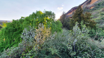  Clarens Village Conservancy