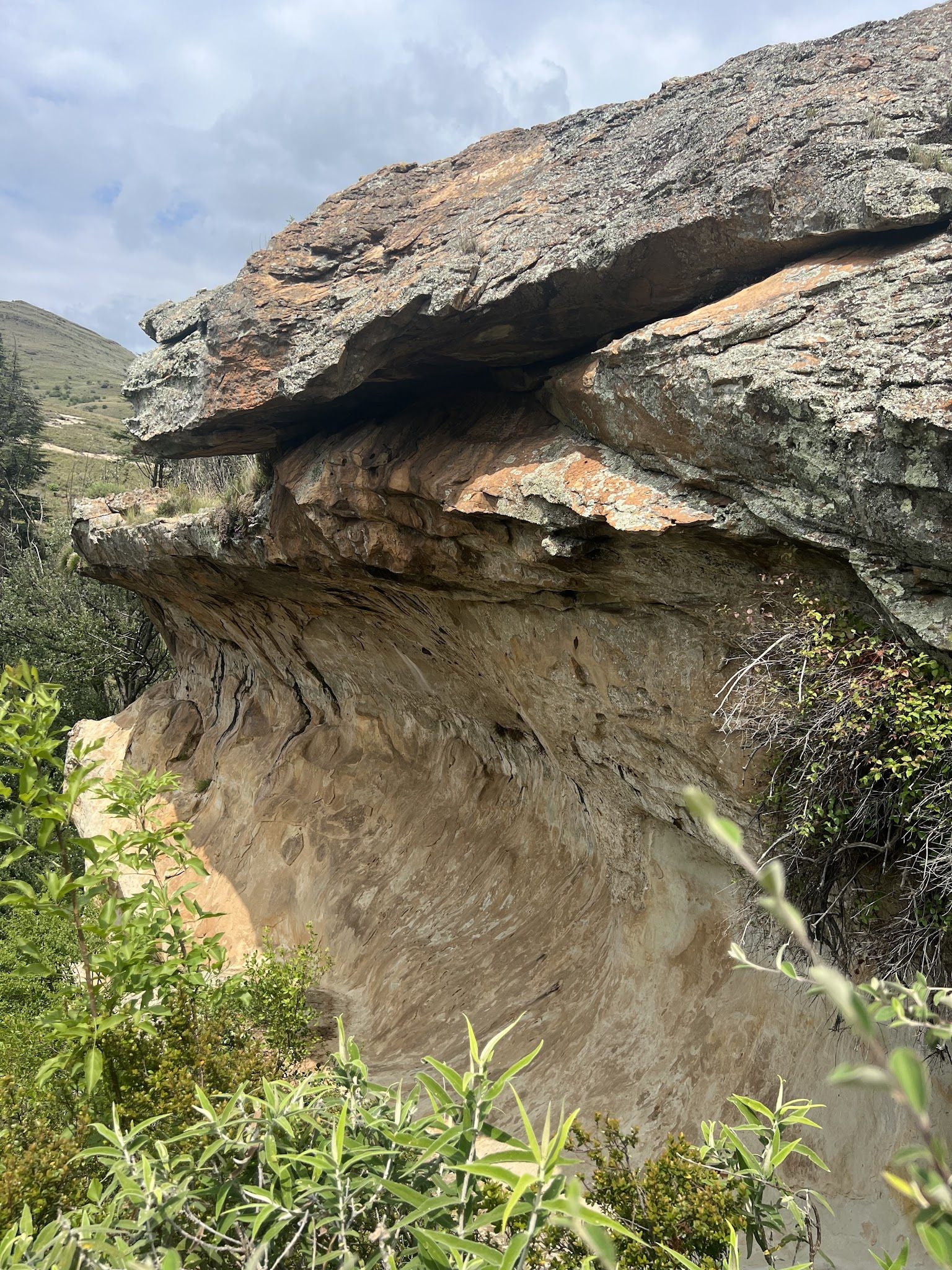  Clarens Village Conservancy