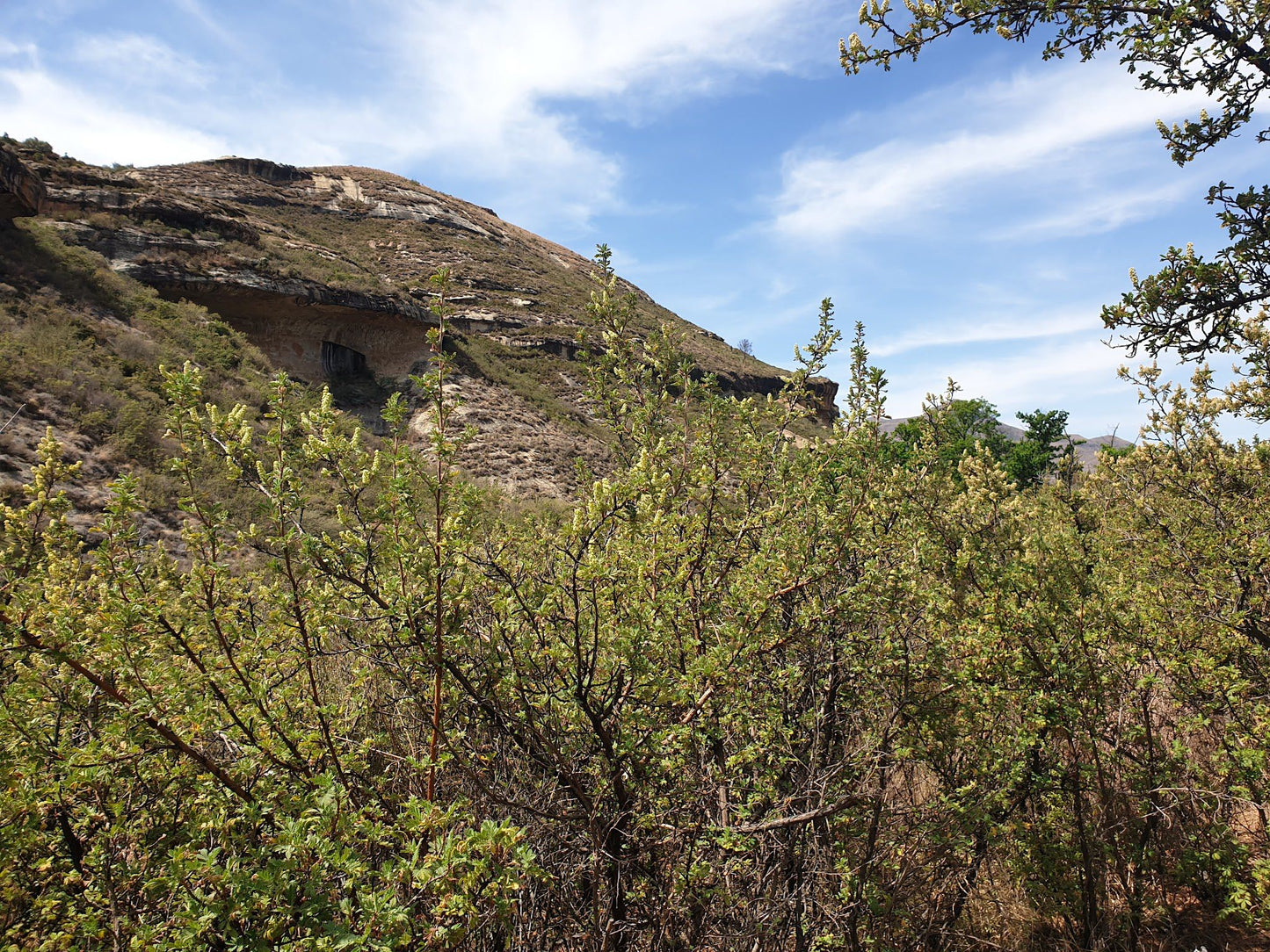  Clarens Waterfall