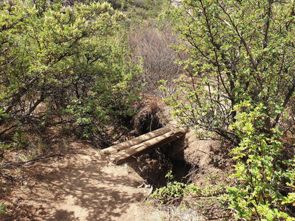  Clarens Waterfall