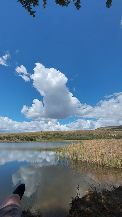  Clarens kloof dam