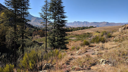  Clarens kloof dam