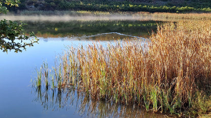  Clarens kloof dam