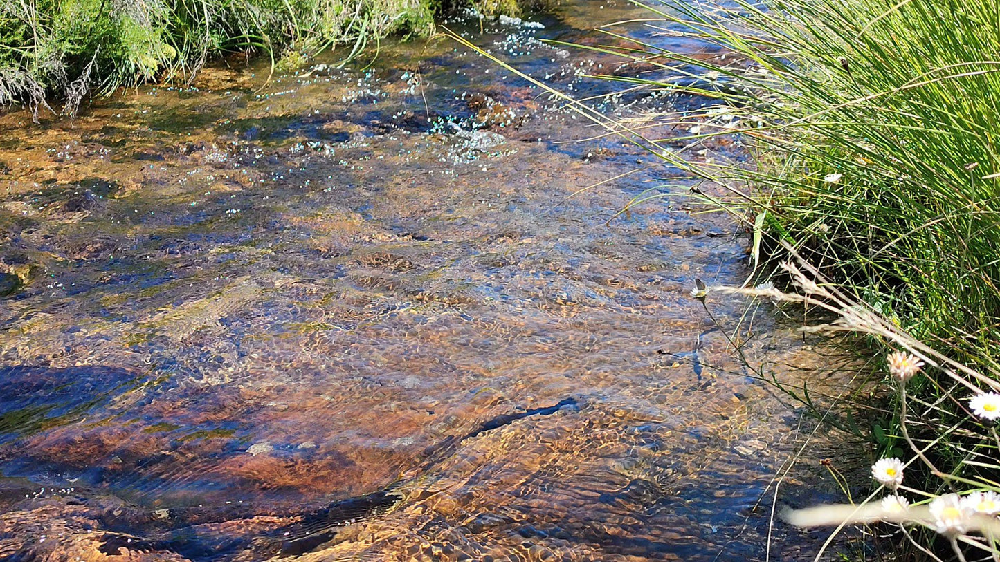  Cobham Nature Reserve