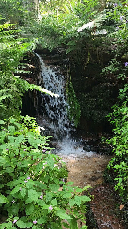  Colonel Bird's Bath